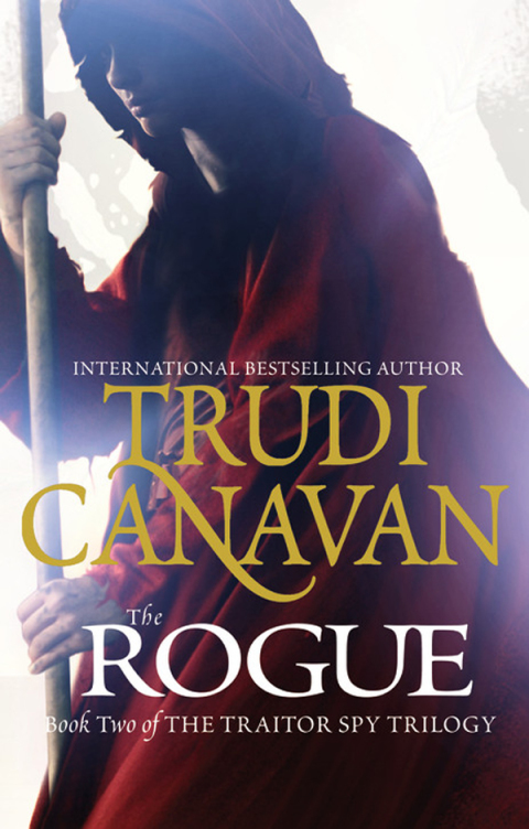 Cover image for book The Rogue