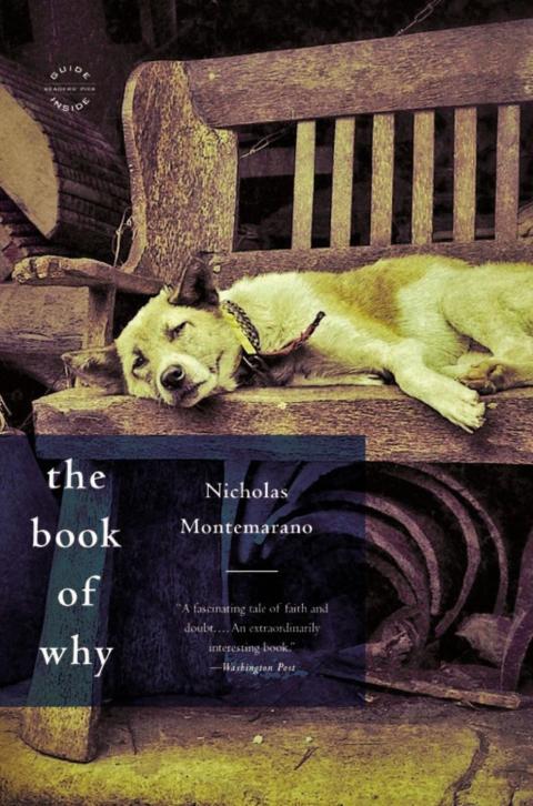 Cover image for book The Book of Why