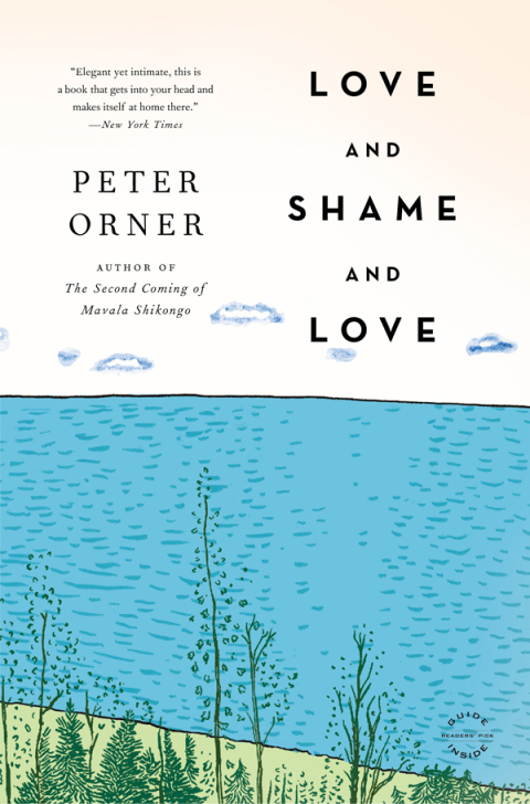 Cover image for book Love and Shame and Love