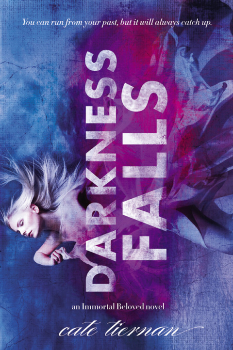 Cover image for book Darkness Falls