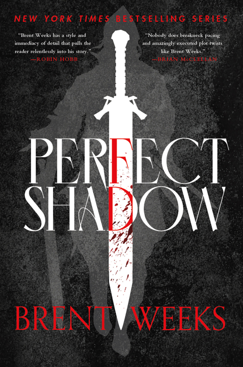Cover image for book Perfect Shadow