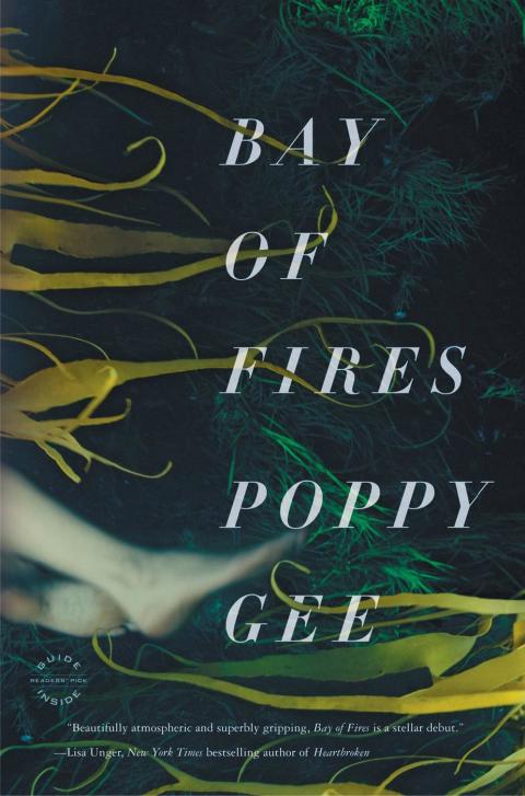 Cover image for book Bay of Fires