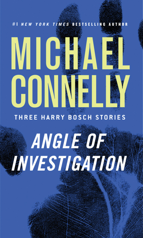 Cover image for book Angle of Investigation