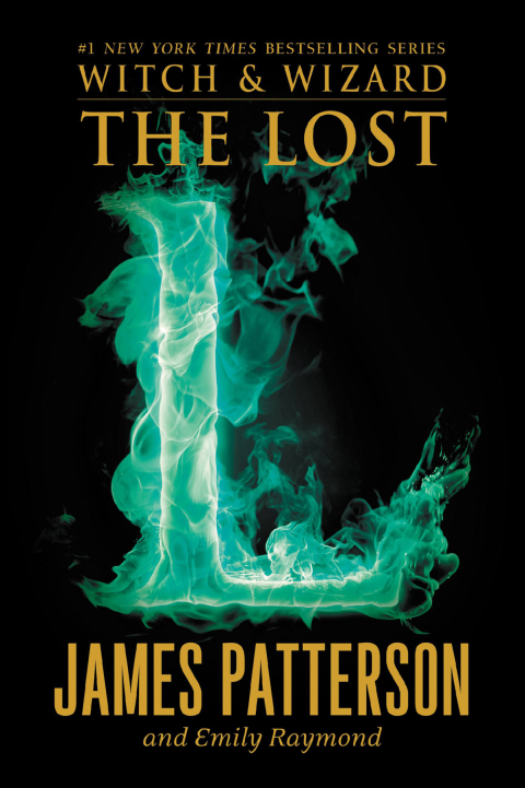 Cover image for book The Lost