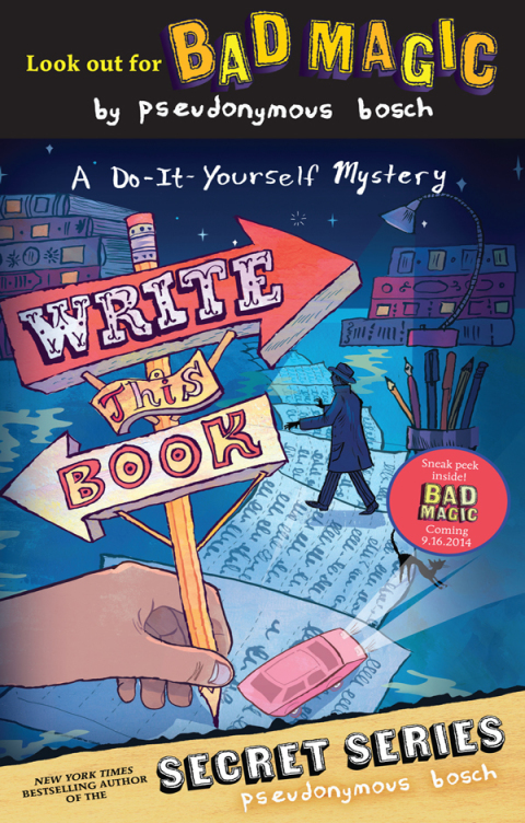 Cover image for book Write This Book
