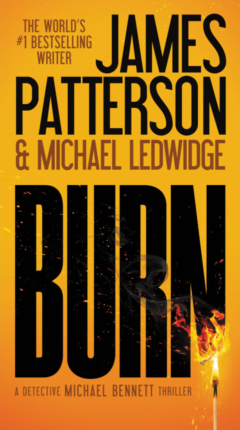 Cover image for book Burn