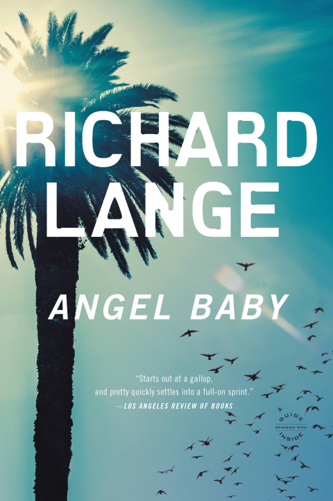 Cover image for book Angel Baby