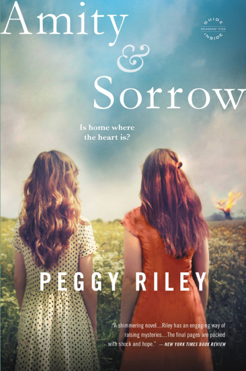 Cover image for book Amity & Sorrow