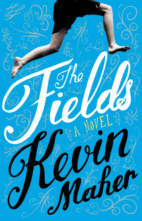 Cover image for book The Fields