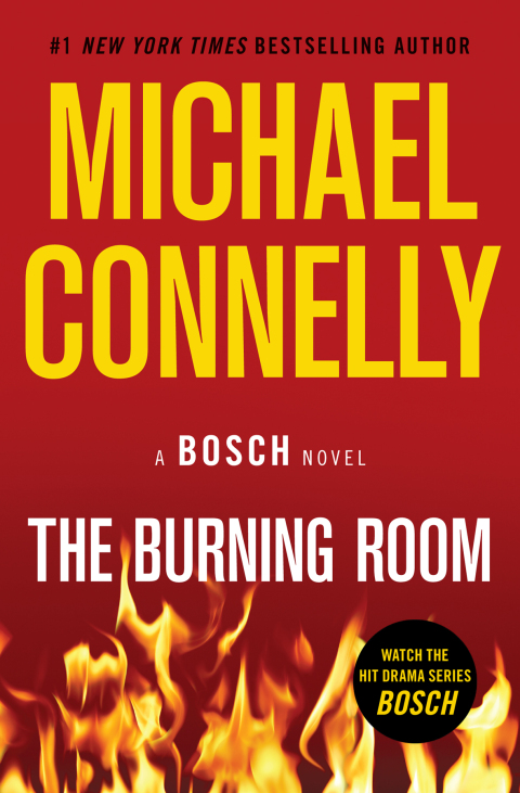 Cover image for book The Burning Room