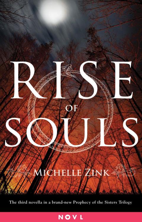 Cover image for book Rise of Souls