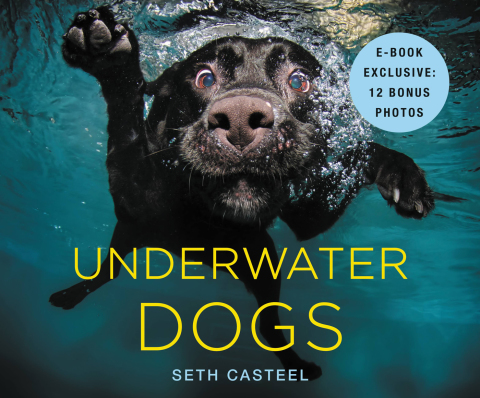 Cover image for book Underwater Dogs