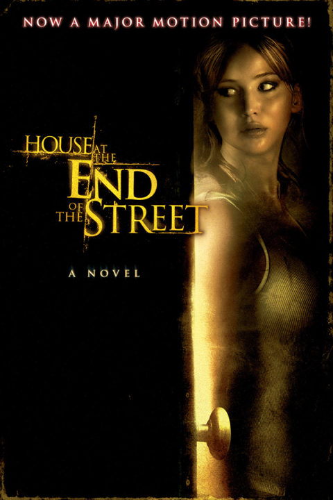 Cover image for book House at the End of the Street