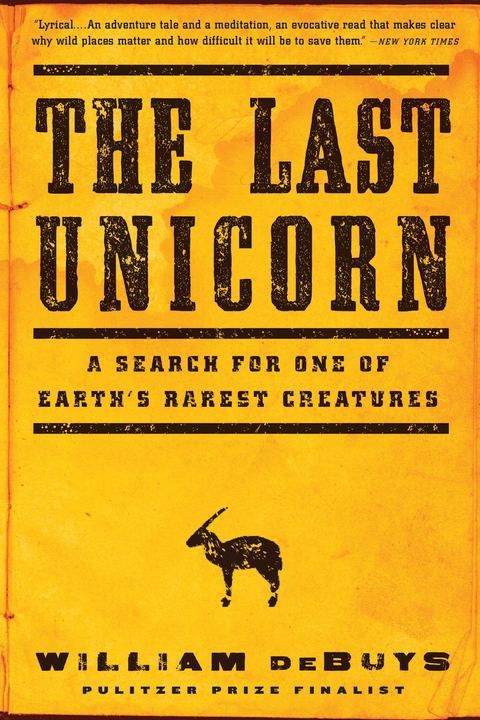 Cover image for book The Last Unicorn