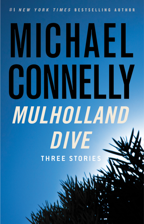 Cover image for book Mulholland Dive