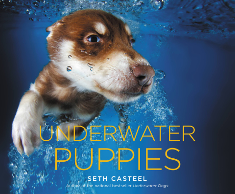 Cover image for book Underwater Puppies