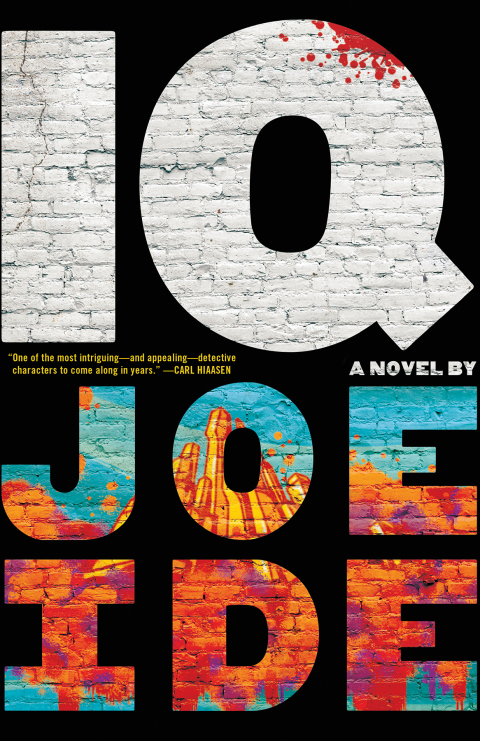 Cover image for book IQ