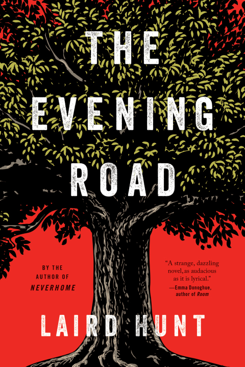 Cover image for book The Evening Road