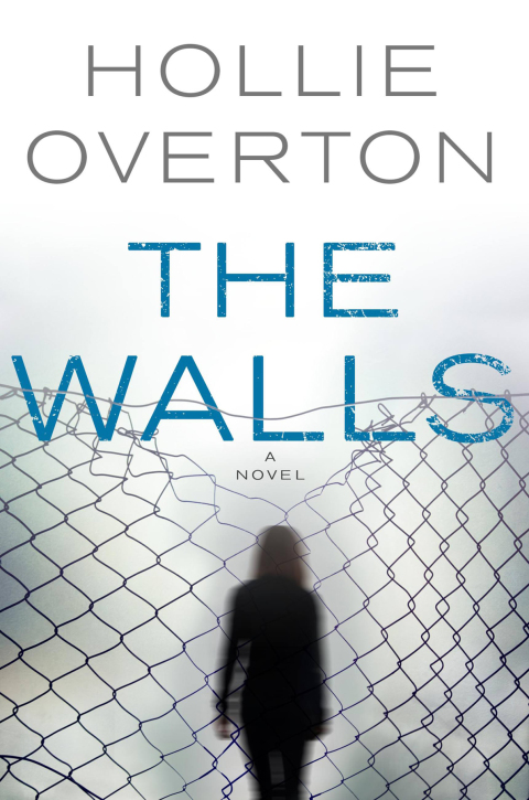 Cover image for book The Walls