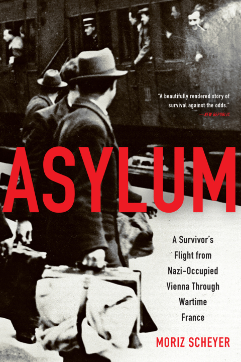 Cover image for book Asylum