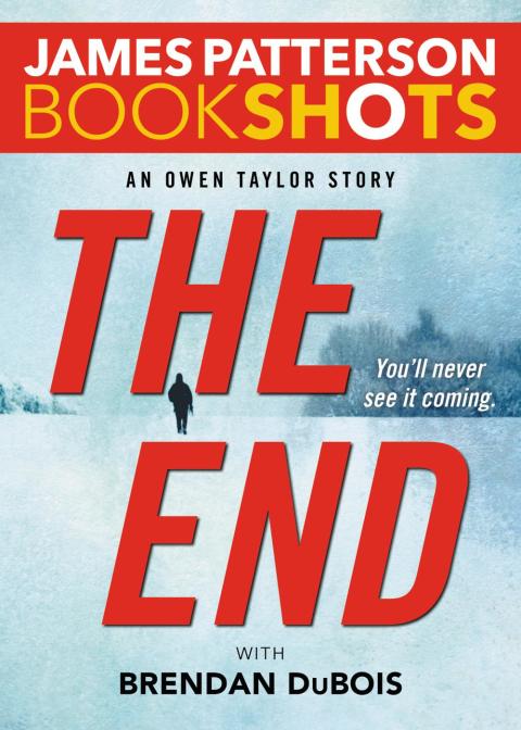 Cover image for book The End