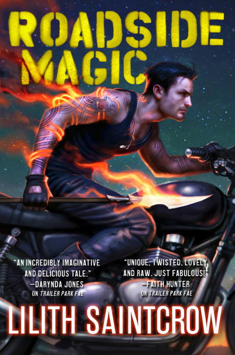 Cover image for book Roadside Magic
