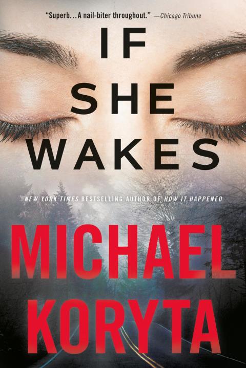 Cover image for book If She Wakes