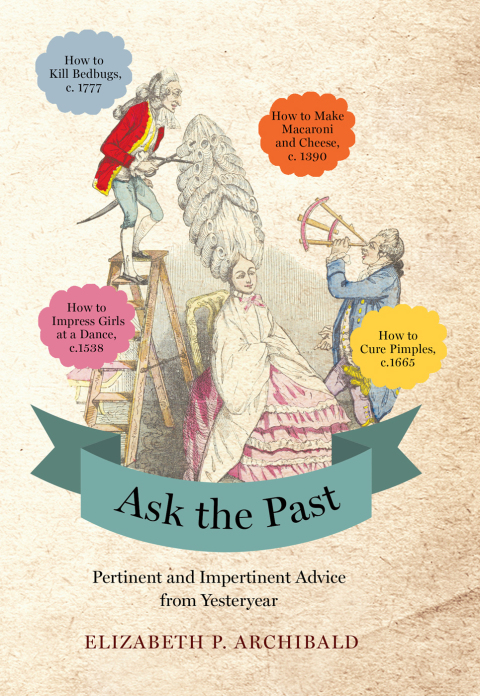 Cover image for book Ask the Past