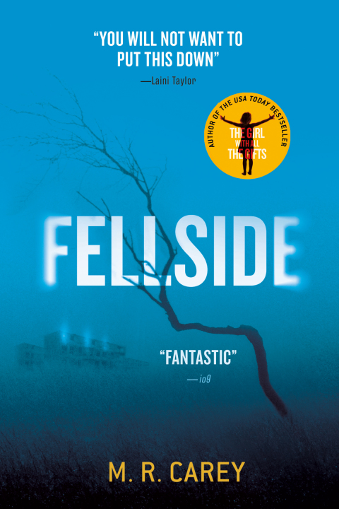 Cover image for book Fellside
