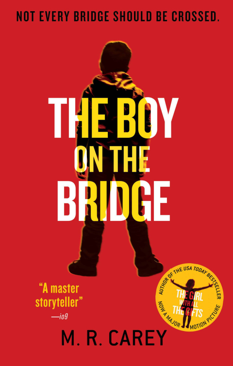 Cover image for book The Boy on the Bridge