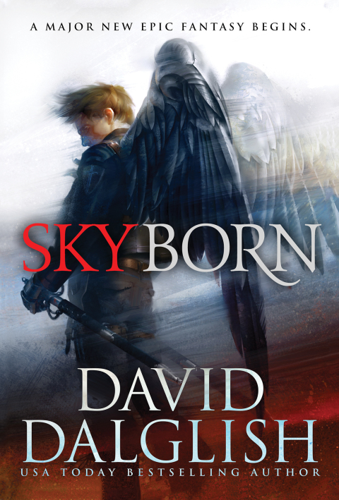 Cover image for book Skyborn