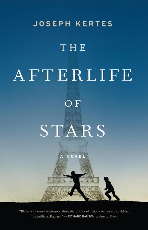 Cover image for book The Afterlife of Stars