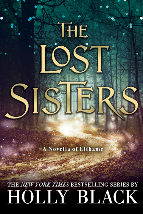 Cover image for book The Lost Sisters