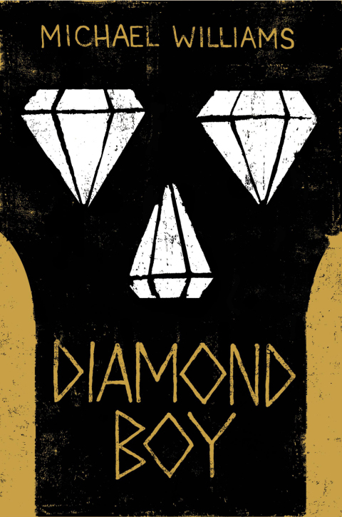 Cover image for book Diamond Boy
