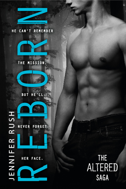 Cover image for book Reborn