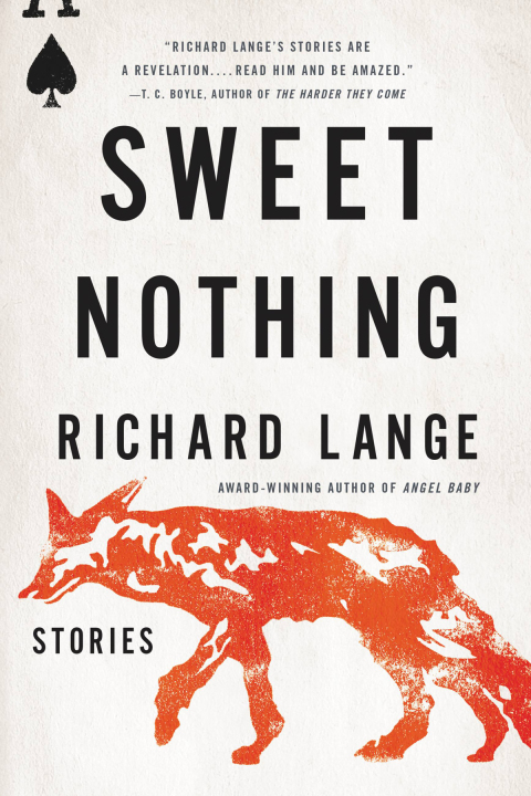 Cover image for book Sweet Nothing