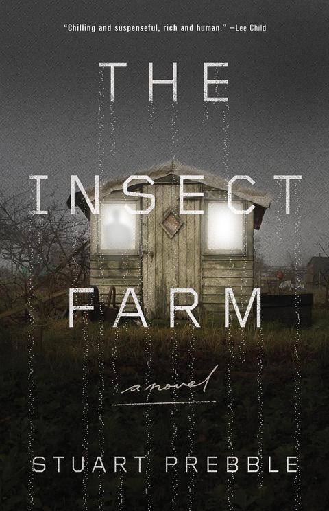 Cover image for book The Insect Farm