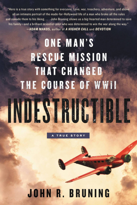 Cover image for book Indestructible