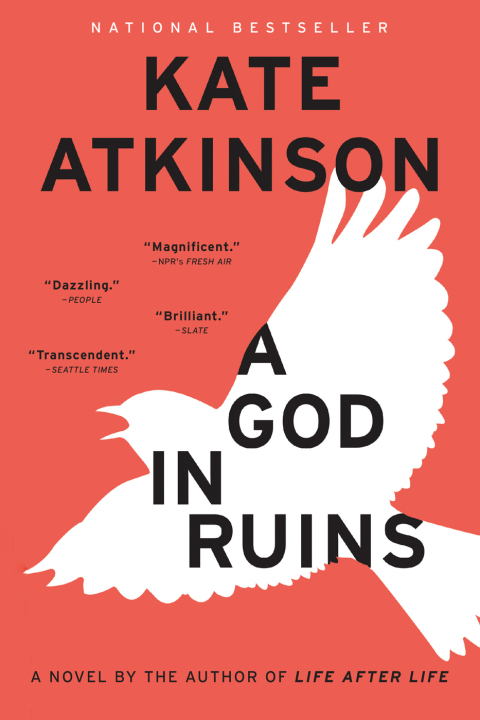 Cover image for book A God in Ruins