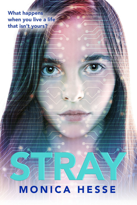 Cover image for book Stray