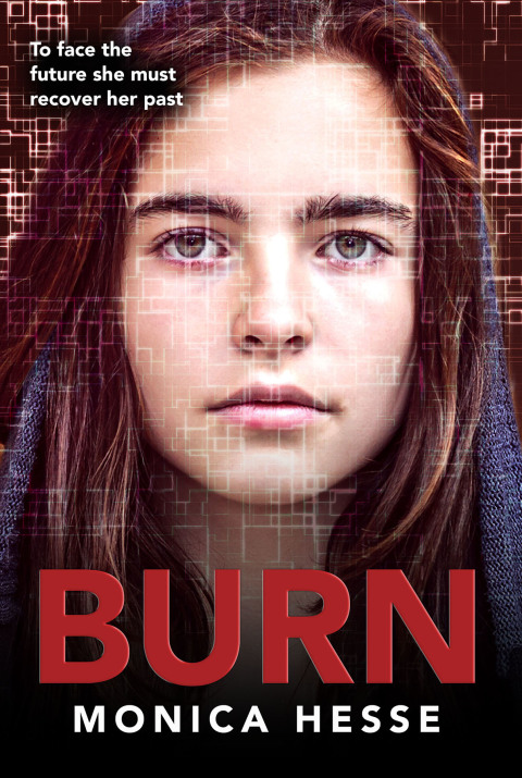 Cover image for book Burn