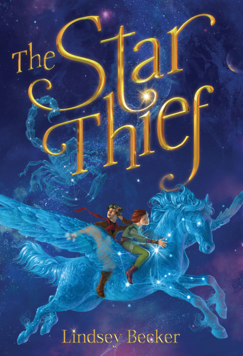 Cover image for book The Star Thief
