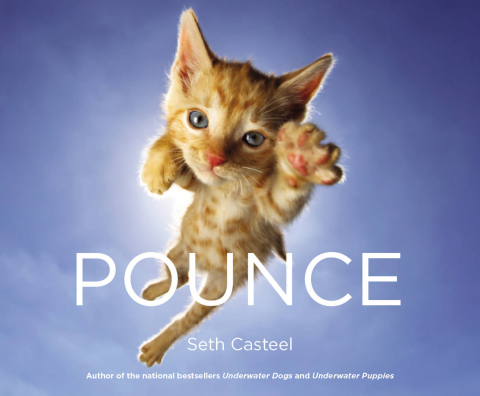 Cover image for book Pounce