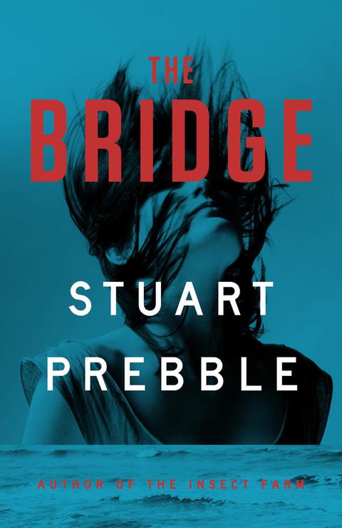 Cover image for book The Bridge