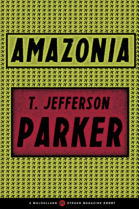 Cover image for book Amazonia
