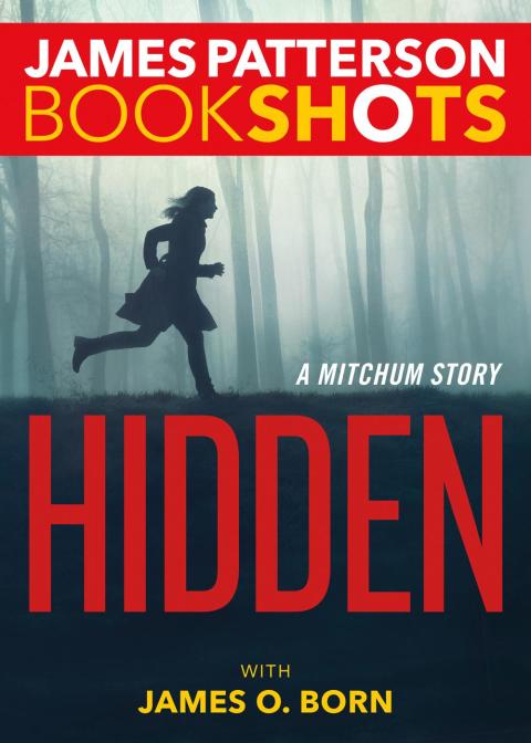 Cover image for book Hidden