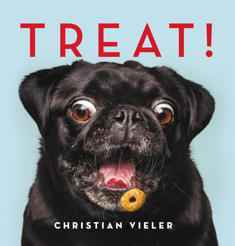 Cover image for book Treat!