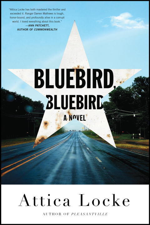 Cover image for book Bluebird, Bluebird