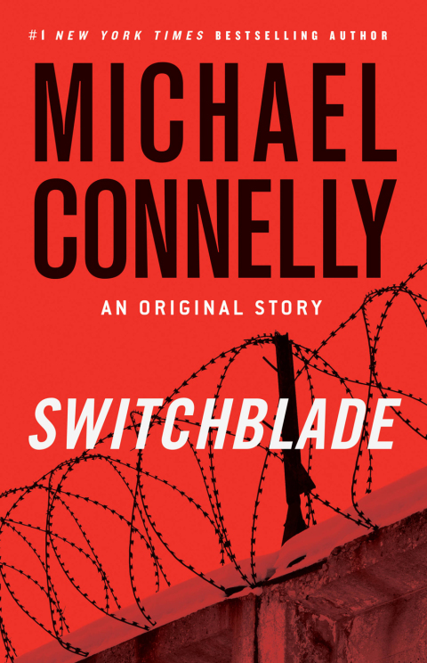 Cover image for book Switchblade