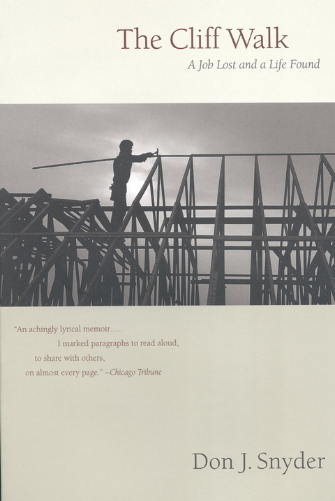 Cover image for book The Cliff Walk
